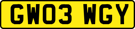GW03WGY