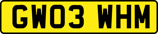 GW03WHM