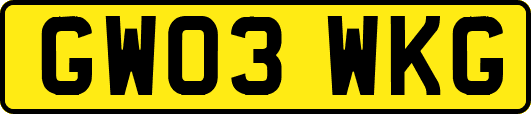 GW03WKG