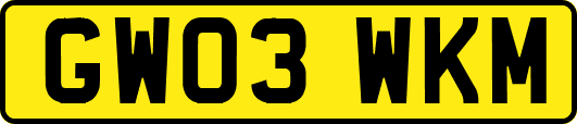 GW03WKM