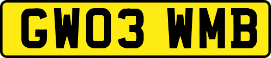 GW03WMB