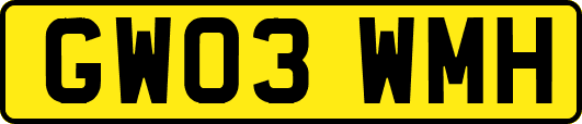GW03WMH