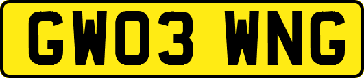 GW03WNG
