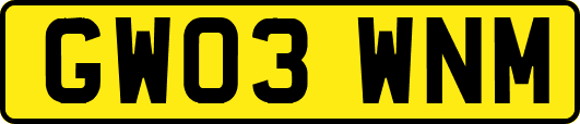 GW03WNM