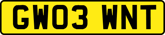 GW03WNT