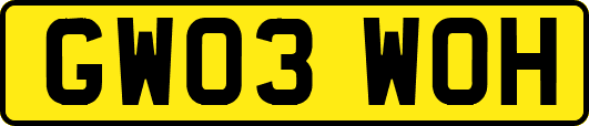 GW03WOH