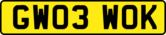 GW03WOK