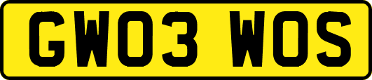 GW03WOS