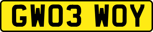 GW03WOY
