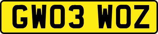 GW03WOZ