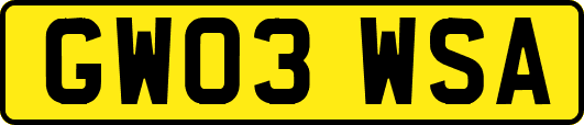 GW03WSA