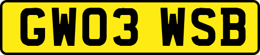 GW03WSB