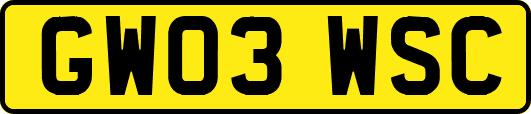 GW03WSC