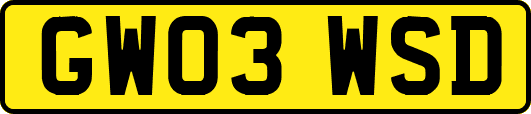 GW03WSD