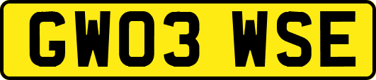 GW03WSE