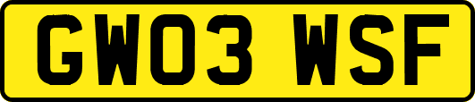 GW03WSF