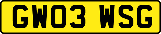 GW03WSG
