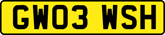 GW03WSH