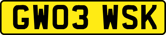 GW03WSK