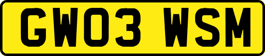 GW03WSM
