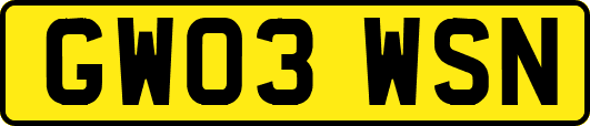 GW03WSN