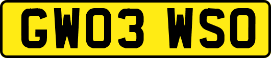 GW03WSO