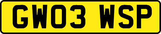 GW03WSP