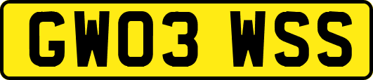 GW03WSS