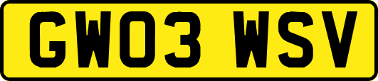 GW03WSV