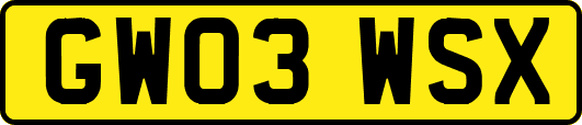 GW03WSX