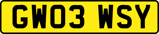 GW03WSY