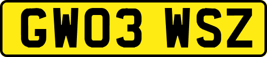 GW03WSZ
