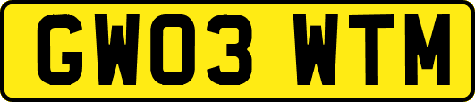 GW03WTM