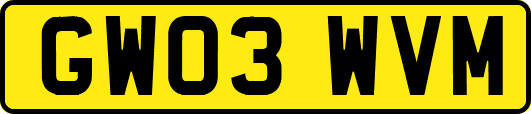 GW03WVM