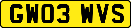 GW03WVS