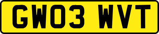 GW03WVT