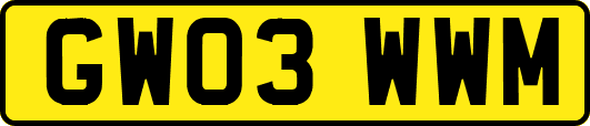 GW03WWM