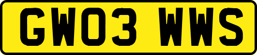 GW03WWS