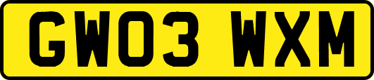 GW03WXM