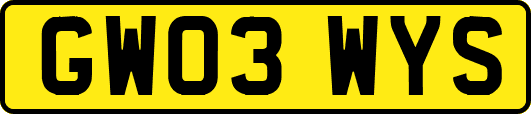GW03WYS