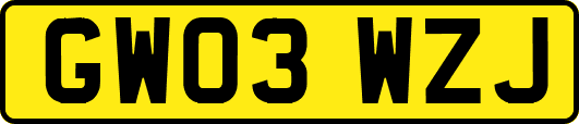 GW03WZJ