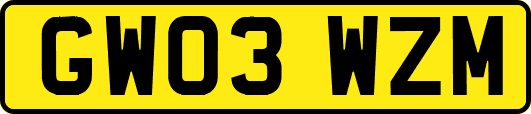 GW03WZM