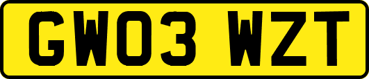 GW03WZT