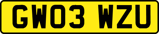GW03WZU