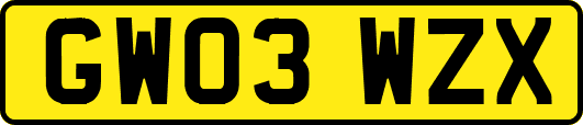 GW03WZX