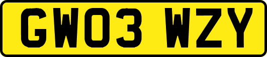 GW03WZY
