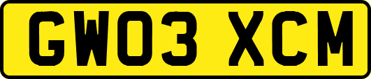 GW03XCM