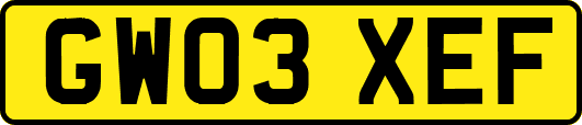 GW03XEF