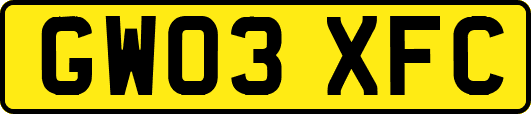 GW03XFC