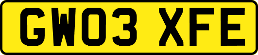 GW03XFE